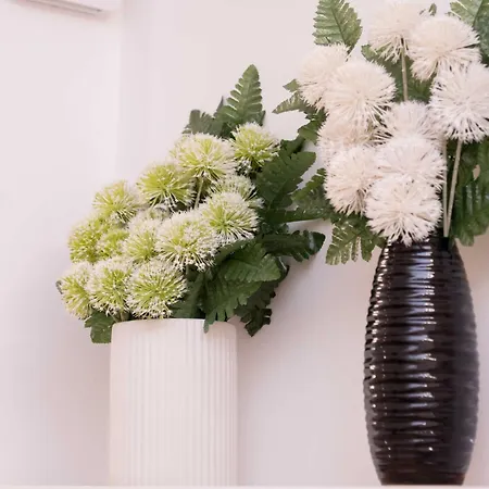 شقة Antonella روما